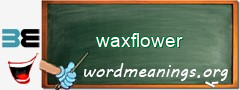 WordMeaning blackboard for waxflower